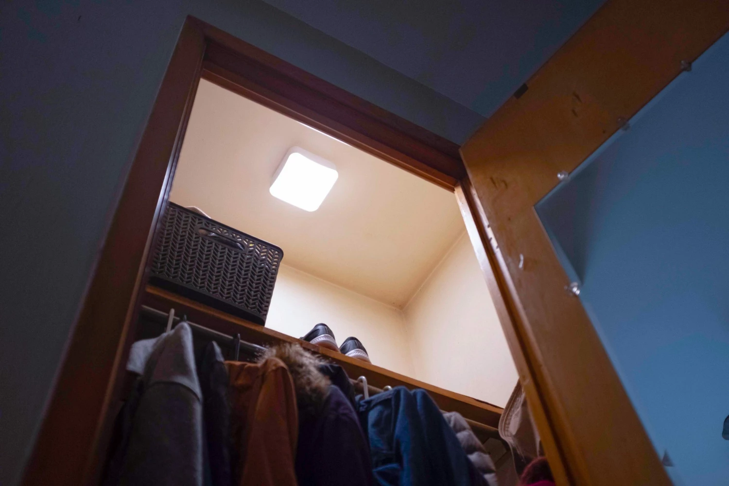 Buy 🥰 Westek Dual Activated Ceiling Light | BL-CMTN-W 🧨 3 Westek Dual Activated Ceiling Light | BL-CMTN-W